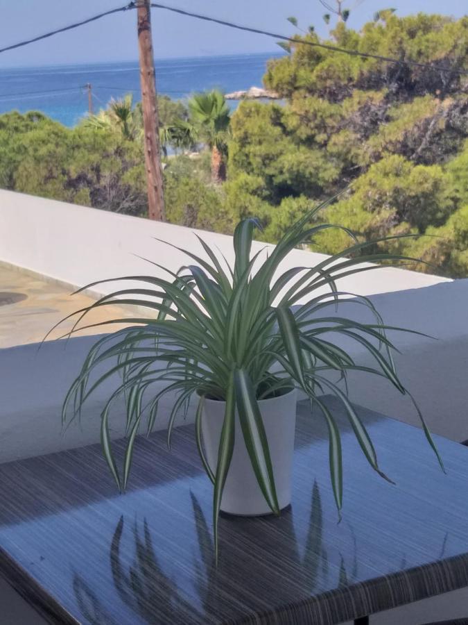 Meltemi Apartment Posidhonia  ภายนอก รูปภาพ